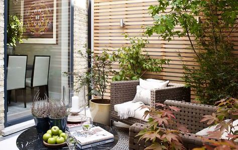 Room of the month - June. Courtyard by Helen Green Design - Chelsea, London.