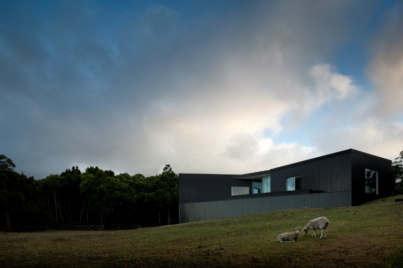 Architecture Studios from Portugal